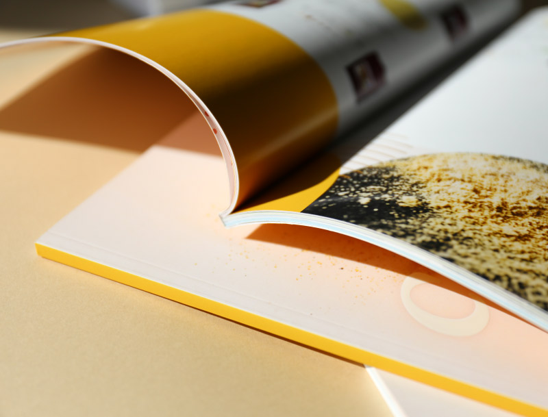 magazine-dos-carre-colle